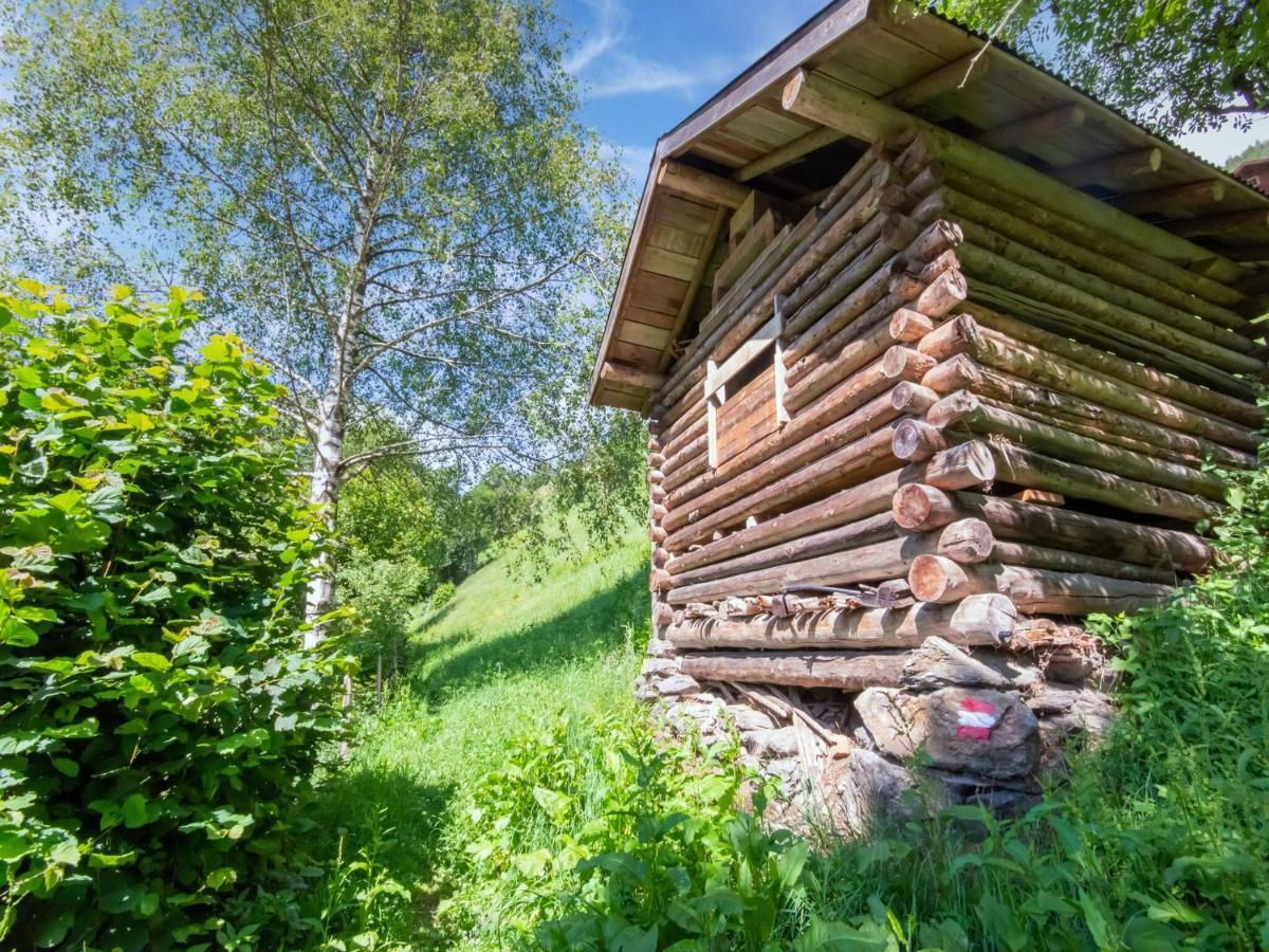 Cosy Holiday Home At The Wildkogel Брамберг-ам-Вильдкогель Экстерьер фото